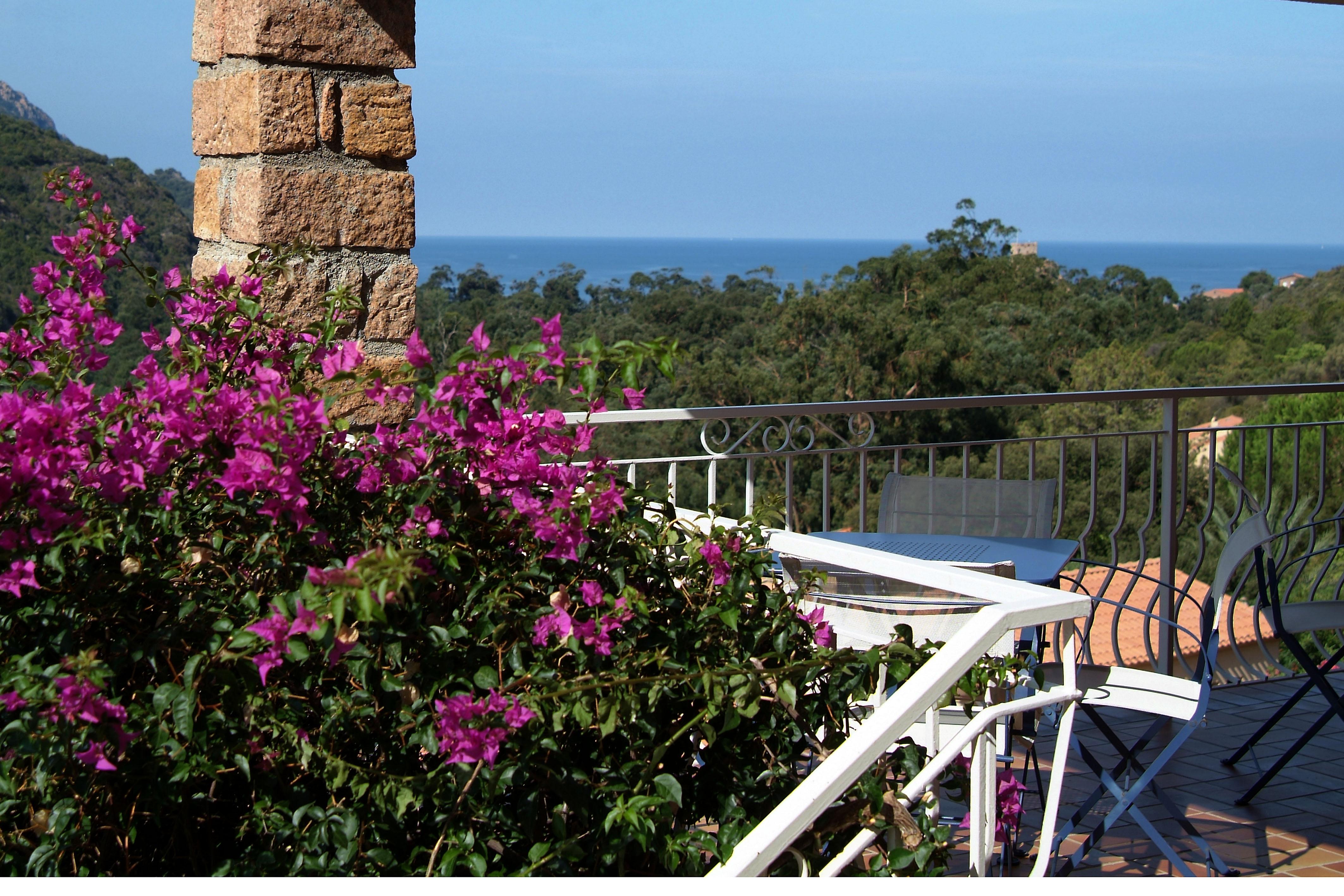 Hotel Capo D'Orto - Porto - Corse Exterior foto