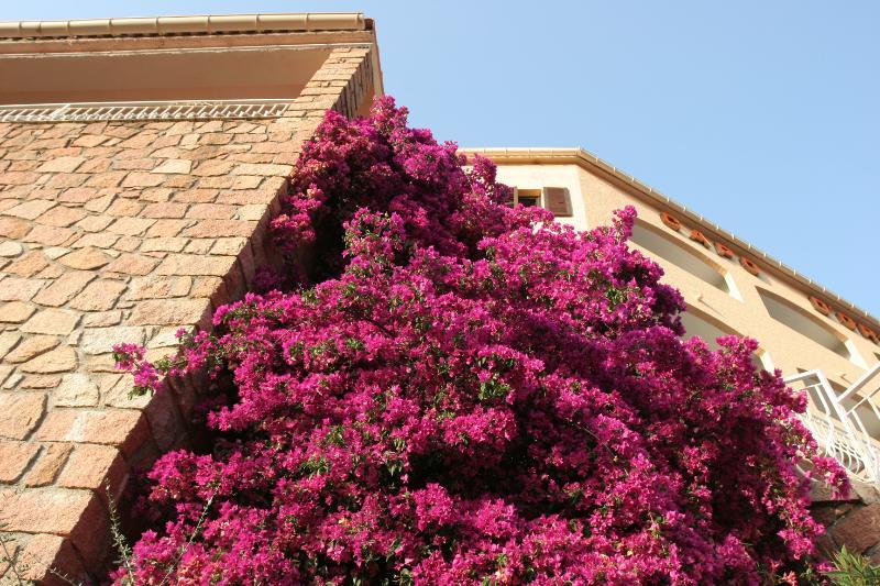 Hotel Capo D'Orto - Porto - Corse Exterior foto
